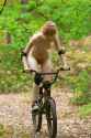 nude_bicycle_girls__205__by_theadvertiser_dhsssfz-414w-2x