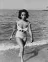 Elizabeth-Taylor-Bikini-Photos-Her-Best-Swimsuit-Pictures-4