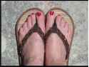 Feet