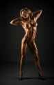 ztvmya14bb2c1