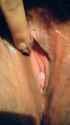 VideoCapture_20250425-061328~2