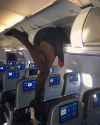 stewardess-legs