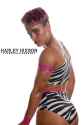 HarleyHudson23
