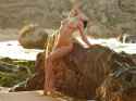 download_img