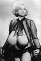 chesty morgan
