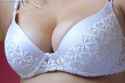 bryony037