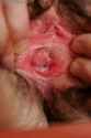 imelda122