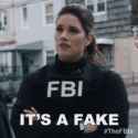 its-a-fake