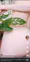 1.35 MB
