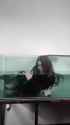 1.54 MB