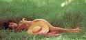 Rule 34 Rule 34 Image