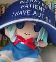 cirno fumo autism