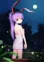 ANIME-PICTURES.NET_-_295486-1000x1400-touhou-reisen+udongein+inaba-tucana-single-long+hair-tall+image