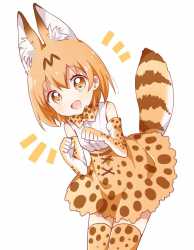 __serval_kemono_friends_drawn_by_namori__sample-068b6f502ae8b3f08dc3c27d14782abd