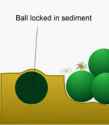 Ball-Locked-in-Sediment