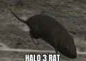 27 KB