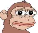 monkfrog