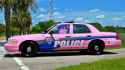 nice police