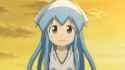 ika stare