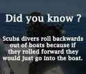 1742691144811861