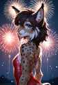 lynx fireworks