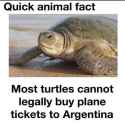 Animal-Fact