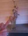 markup_1000001609