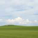 image(13)