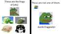 frogg