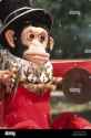 mr-0378-a-monkey-with-cymbals-is-a-prop-from-the-wonder-traveling-AY9WXB