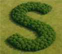 esforest