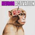 ifbz-neuron-activation-2413923489