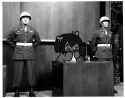 beary-ebil-on-witness-stand