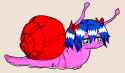 snel