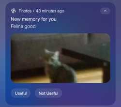 48 KB
