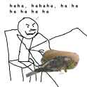 50 KB
