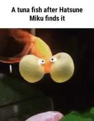 393 KB
