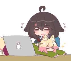 455 KB