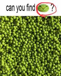 153 KB