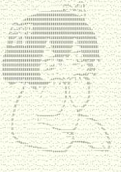 31 KB