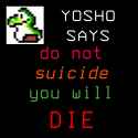 42 KB