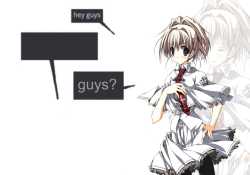 113 KB