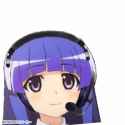 1.56 MB