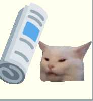 173 KB