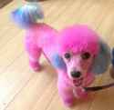 944 KB