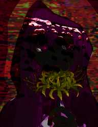 466 KB