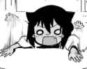 13 KB