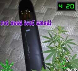 245 KB