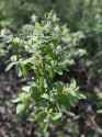 274 KB