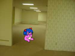 213 KB